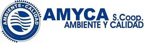 Home 33 AMYCA CONSULTORIA